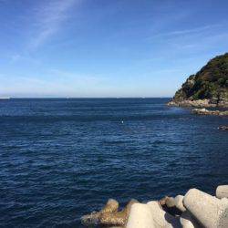 方杭漁港で初春イカ